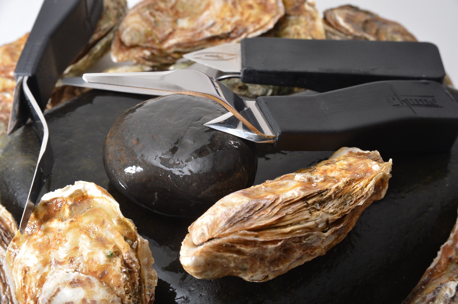 Nerthus Couteau à huîtres avec Base, Bois, Acier Inoxydable, 8,5 x 19,5 x  7,5 cm : : Cuisine et Maison