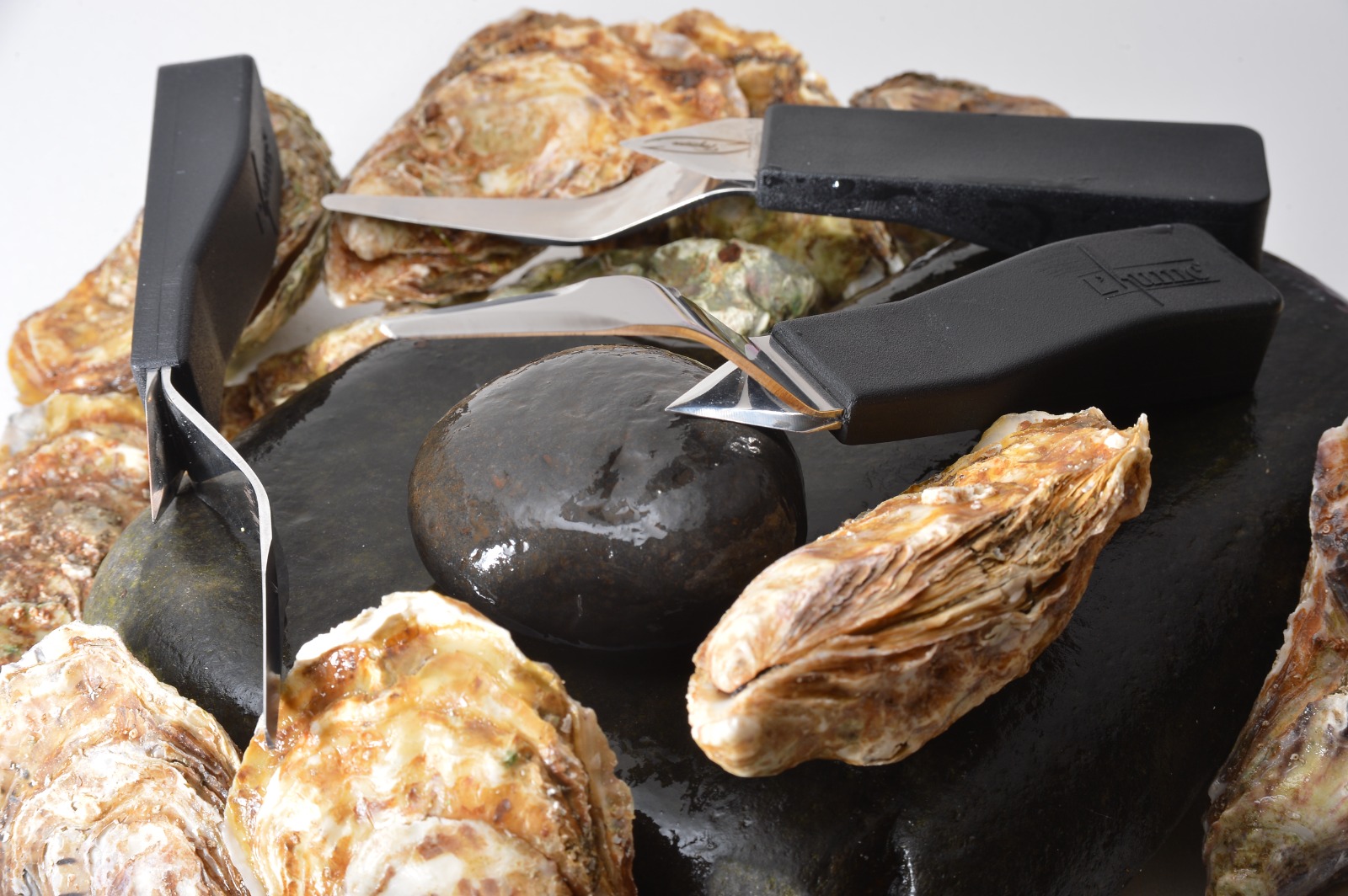 Un entrepreneur de la Manche remporte un prix au concours Lépine pour son  sabot à huîtres
